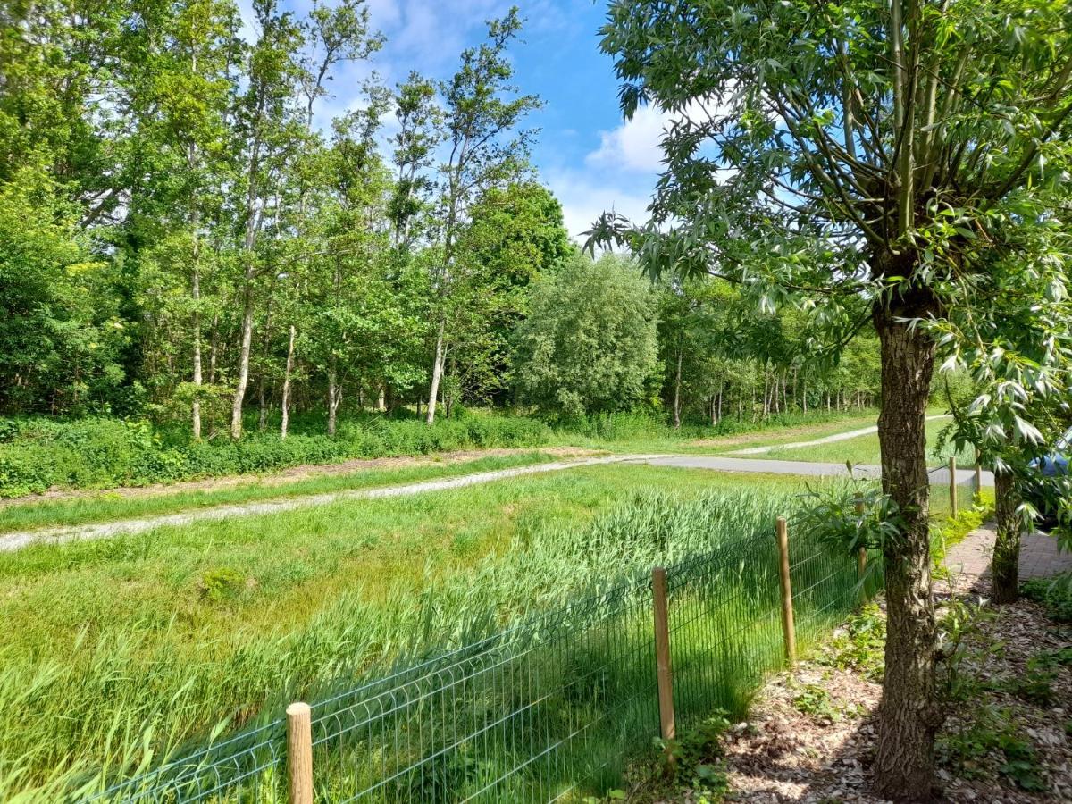 Wellnesshuis Met Hottub, Ligbad En Grote Tuin Villa Tzummarum Exteriör bild